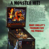 MS Frankenstein Pinball Flyer
