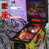 Jurassic Park Lost World Pinball Flyer