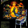 Pinball Magic Flyer