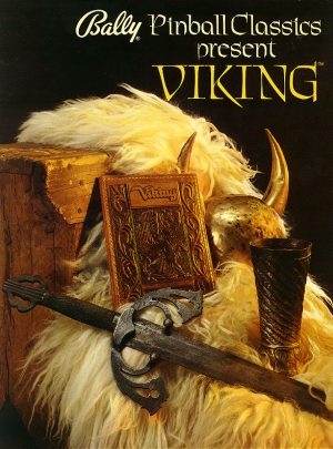 Viking Flyer Front