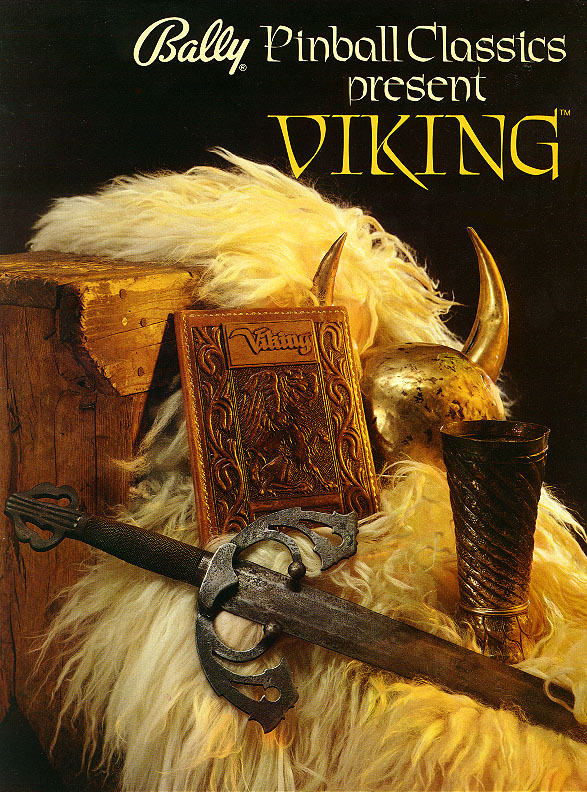 Viking Flyer Front